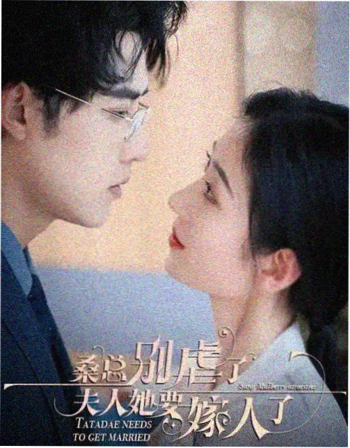 番外 对面楼的那盏灯 封面